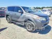 2010 Lexus GX фото