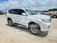 2010 Lexus GX фото