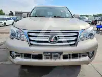 2010 Lexus GX photo