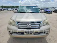 2010 Lexus GX фото