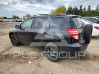 2010 Toyota RAV4 фото