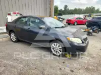 2010 Toyota COROLLA фото