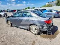 2010 Toyota COROLLA photo