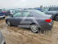 2010 Toyota COROLLA фото