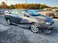 2010 Toyota COROLLA photo