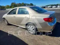 2010 Toyota COROLLA photo