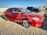 2010 Toyota COROLLA фото