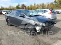 2010 Toyota COROLLA фото