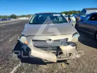 2010 Toyota COROLLA photo