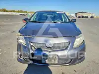 2010 Toyota COROLLA фото
