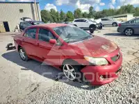 2010 Toyota COROLLA photo