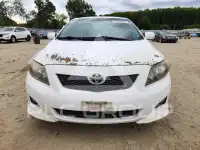 2010 Toyota COROLLA photo