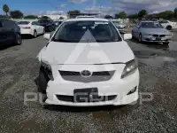 2010 Toyota COROLLA фото