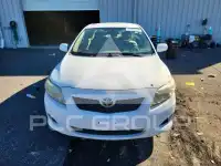 2010 Toyota COROLLA photo