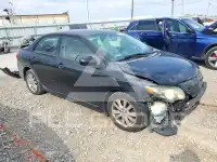 2010 Toyota COROLLA photo