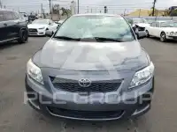 2010 Toyota COROLLA photo