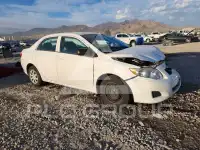 2010 Toyota COROLLA фото