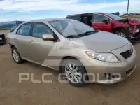 2010 Toyota COROLLA фото