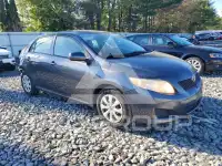 2010 Toyota COROLLA фото