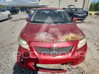 2010 Toyota COROLLA photo