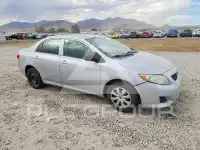 2010 Toyota COROLLA фото