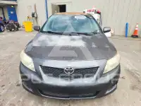2010 Toyota COROLLA фото