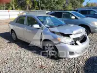 2010 Toyota COROLLA фото