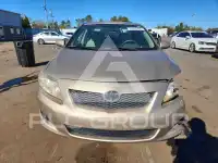 2010 Toyota COROLLA photo