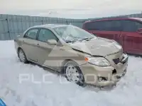 2010 Toyota COROLLA photo