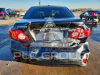 2010 Toyota COROLLA photo