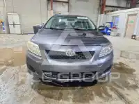 2010 Toyota COROLLA фото