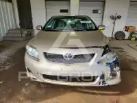 2010 Toyota COROLLA photo