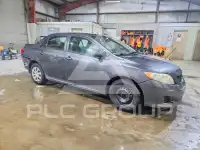 2010 Toyota COROLLA фото