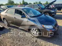 2010 Toyota COROLLA фото