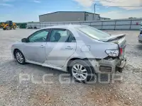 2010 Toyota COROLLA фото