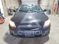 2010 Toyota COROLLA фото