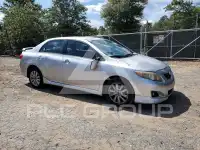 2010 Toyota COROLLA фото