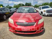 2010 Toyota COROLLA photo