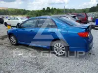 2010 Toyota COROLLA фото