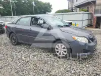 2010 Toyota COROLLA фото