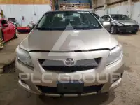 2010 Toyota COROLLA фото
