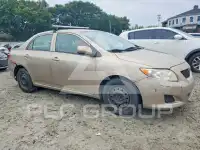2010 Toyota COROLLA фото