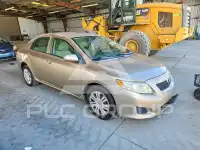 2010 Toyota COROLLA фото