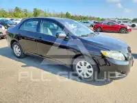 2010 Toyota COROLLA photo