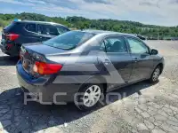 2010 Toyota COROLLA фото