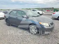 2010 Toyota COROLLA photo