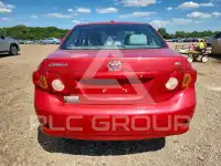 2010 Toyota COROLLA photo