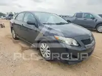 2010 Toyota COROLLA фото