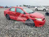 2010 Toyota COROLLA фото