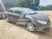 2010 Toyota COROLLA фото